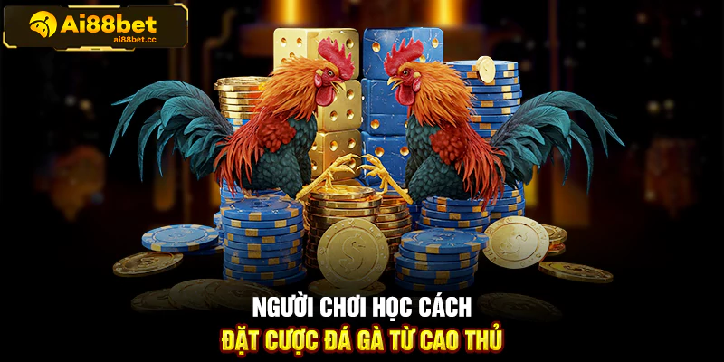 Hướng Dẫn Đặt Cược Đá Gà Cựa Sắt Trên AI88BET Chi Tiết 1 121