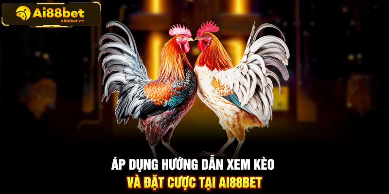 Hướng Dẫn Chi Tiết Cách Xem Kèo Và Đặt Cược Đá Gà 3 131